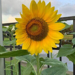 Meet your Posher, Judy